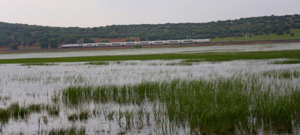 Cañada de Calatrava