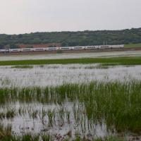 Cañada de Calatrava